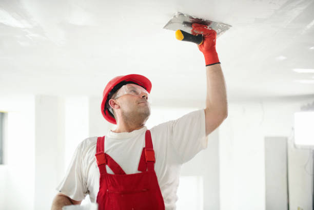 Eco-Friendly and Low-VOC Painting in Cutlerville, MI